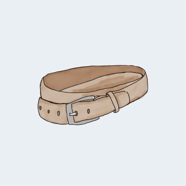 Belt sanity